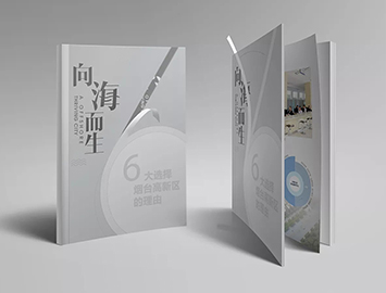 向海而生 向海而生