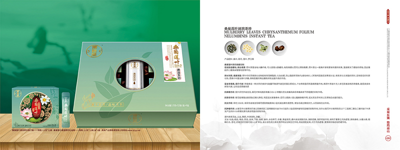 企業(yè)集團公司宣傳畫冊設(shè)計案例欣賞27-28.jpg
