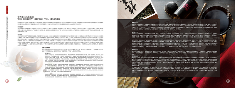 集團公司宣傳冊設(shè)計案例欣賞11-12.jpg