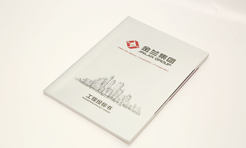 集團(tuán)企業(yè)畫(huà)冊(cè)設(shè)計(jì)