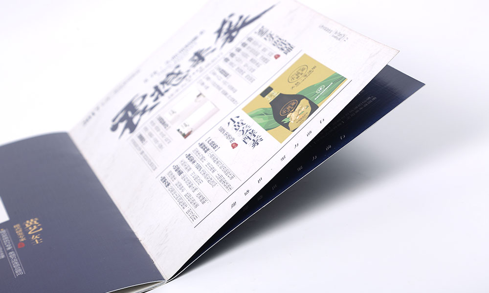 控股投資集團畫冊設(shè)計