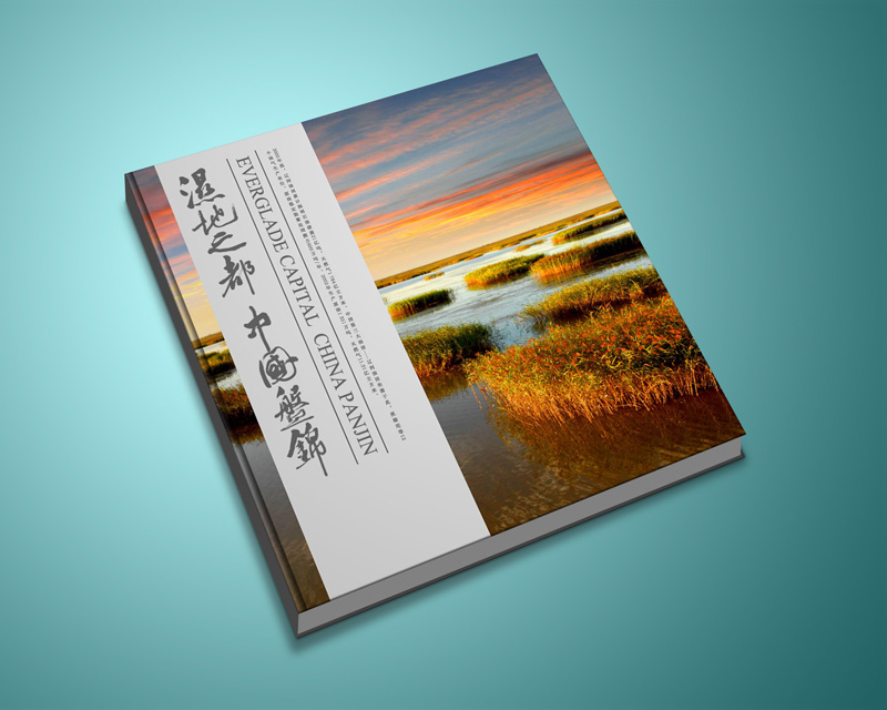 如何選擇一家專業(yè)的廣告畫(huà)冊(cè)設(shè)計(jì)公司