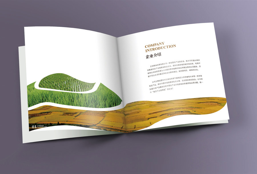 集團(tuán)公司畫(huà)冊(cè)設(shè)計(jì)注意事項(xiàng) 如何進(jìn)行集團(tuán)公司畫(huà)冊(cè)設(shè)計(jì)